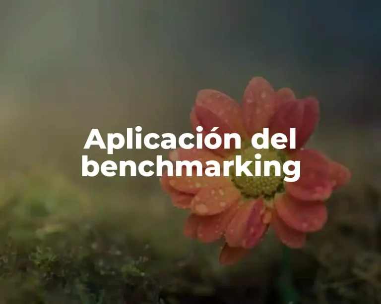 Aplicación del benchmarking