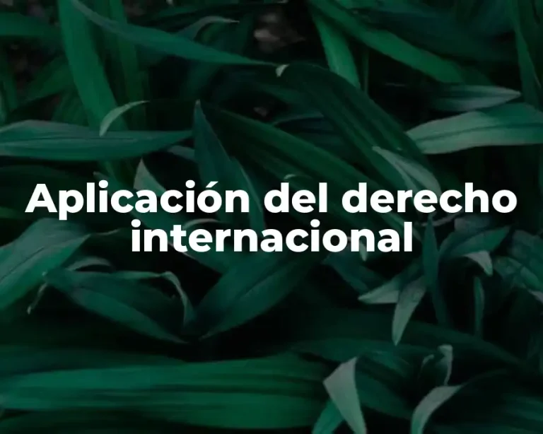 Aplicación del derecho internacional