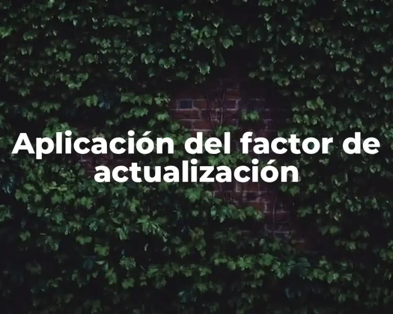 Aplicación del factor de actualización