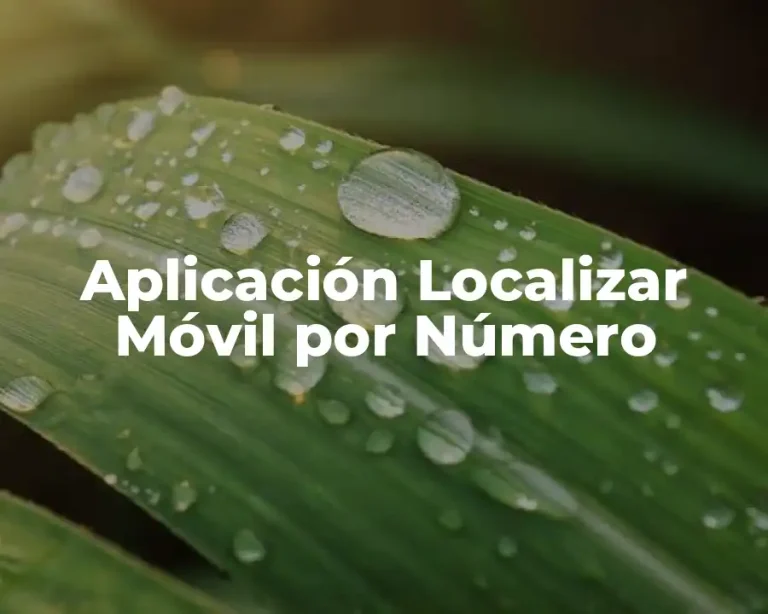 Aplicación Localizar Móvil por Número