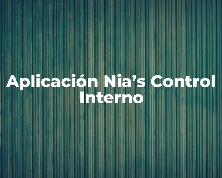 Aplicación Nia’s Control Interno