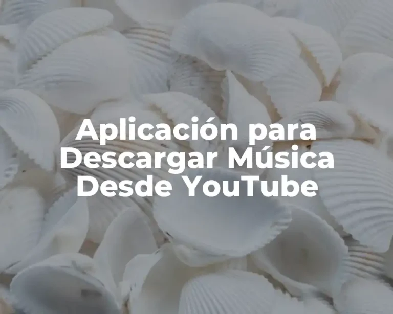 Aplicación para Descargar Música Desde YouTube