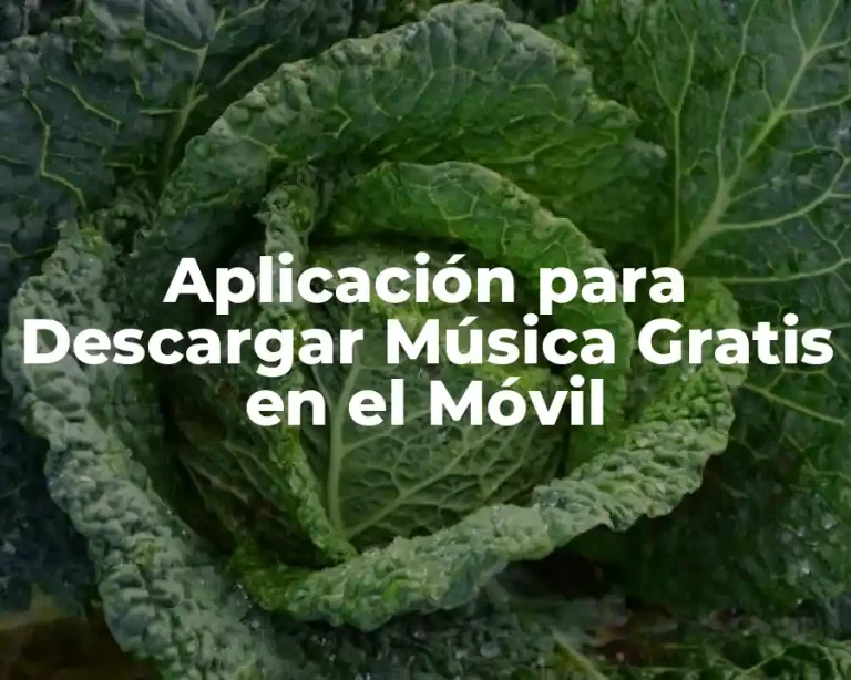 Aplicación para Descargar Música Gratis en el Móvil