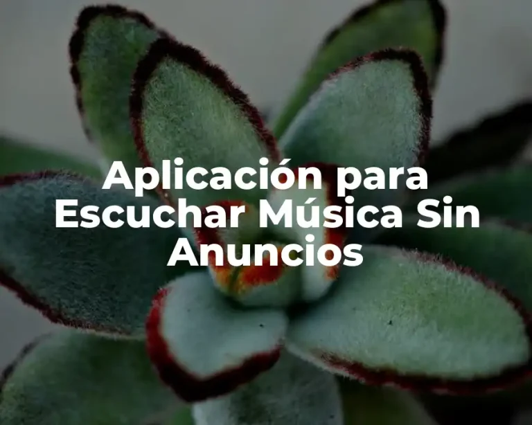 Aplicación para Escuchar Música Sin Anuncios