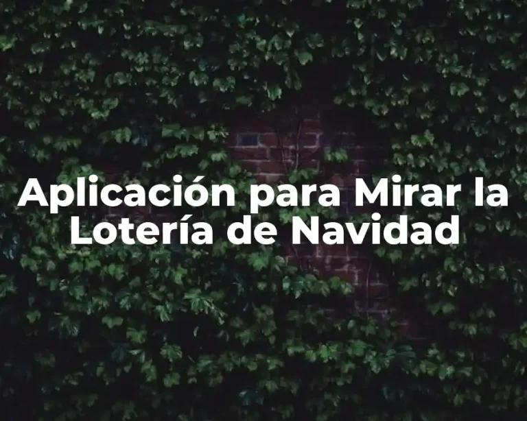 Aplicación para Mirar la Lotería de Navidad