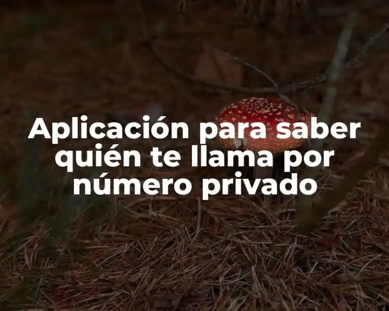 Aplicación para saber quién te llama por número privado