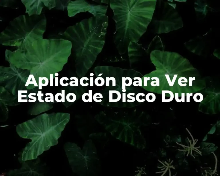 Aplicación para Ver Estado de Disco Duro