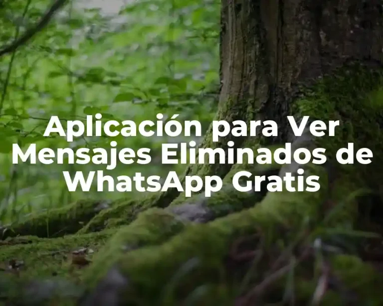 Aplicación para Ver Mensajes Eliminados de WhatsApp Gratis