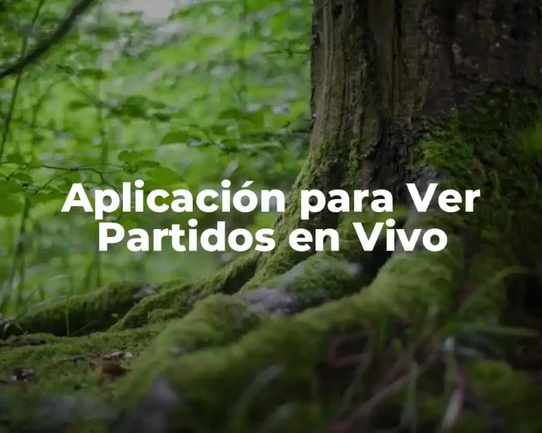 Aplicación para Ver Partidos en Vivo