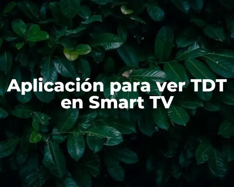 Aplicación para ver TDT en Smart TV