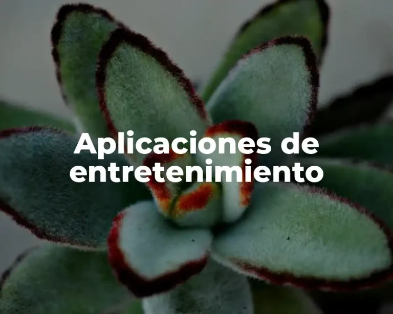 Aplicaciones de entretenimiento