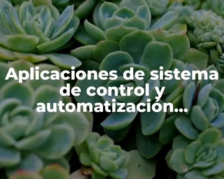 Aplicaciones de sistema de control y automatización industrial