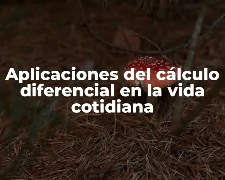 Aplicaciones del cálculo diferencial en la vida cotidiana