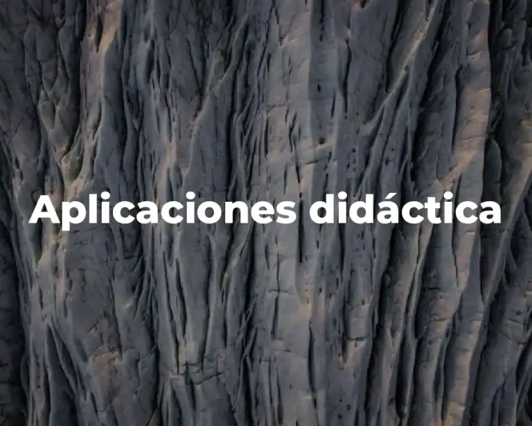 Aplicaciones didáctica