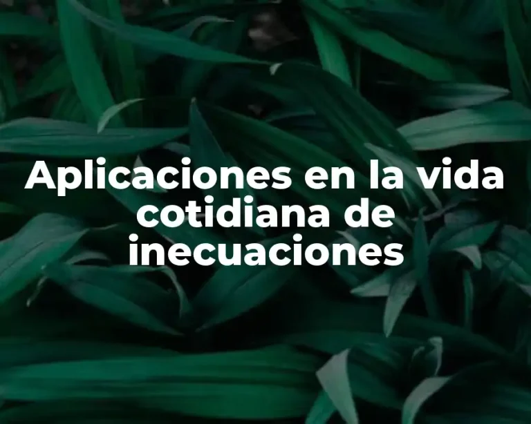 Aplicaciones en la vida cotidiana de inecuaciones