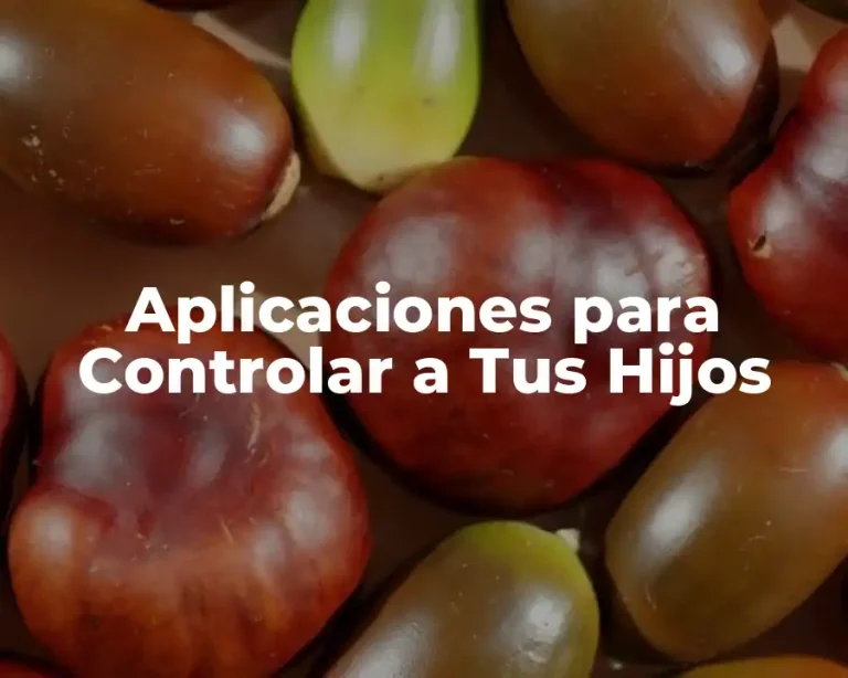 Aplicaciones para Controlar a Tus Hijos