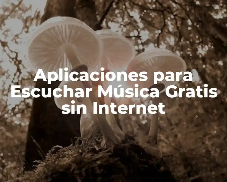 Aplicaciones para Escuchar Música Gratis sin Internet