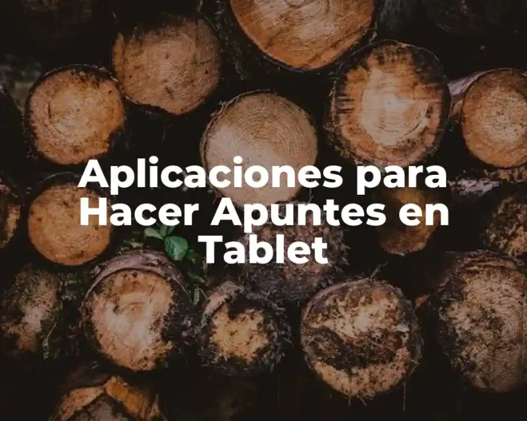 Aplicaciones para Hacer Apuntes en Tablet