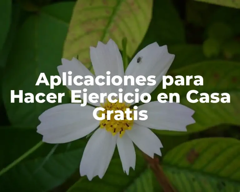Aplicaciones para Hacer Ejercicio en Casa Gratis