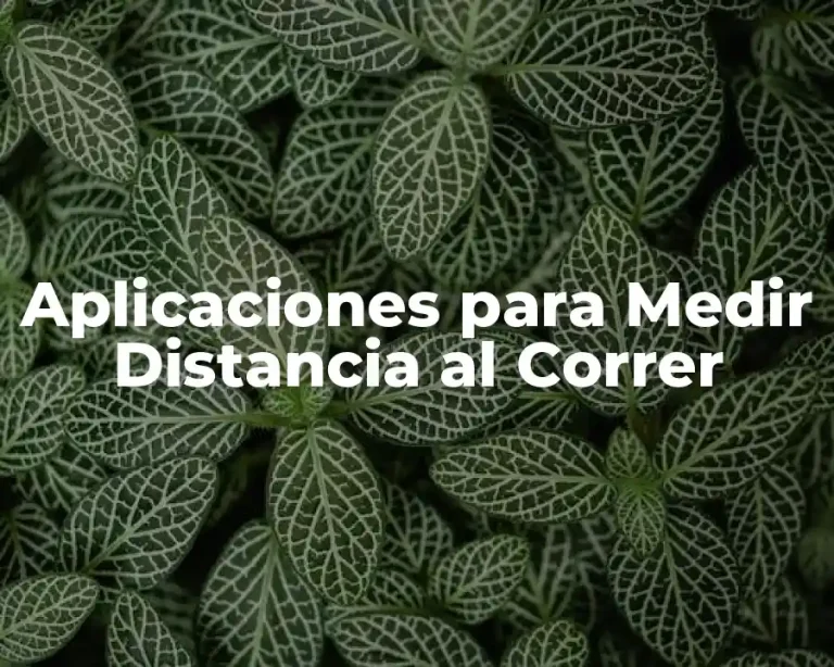 Aplicaciones para Medir Distancia al Correr