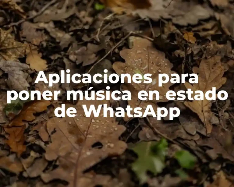 Aplicaciones para poner música en estado de WhatsApp