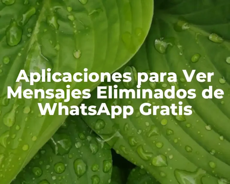 Aplicaciones para Ver Mensajes Eliminados de WhatsApp Gratis