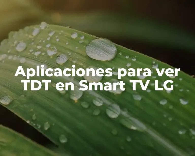 Aplicaciones para ver TDT en Smart TV LG
