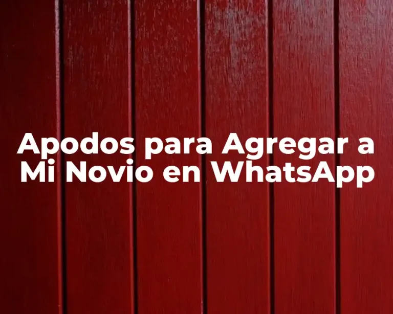Apodos para Agregar a Mi Novio en WhatsApp