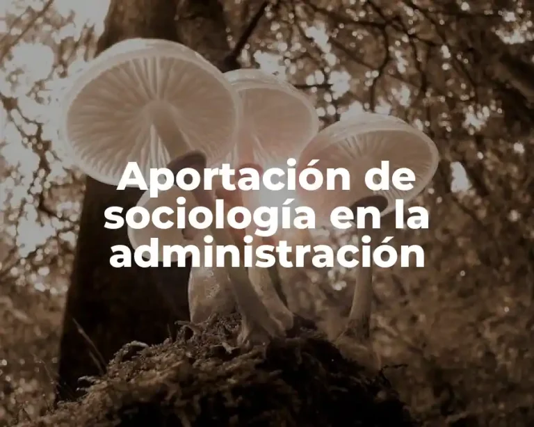 Aportación de sociología en la administración