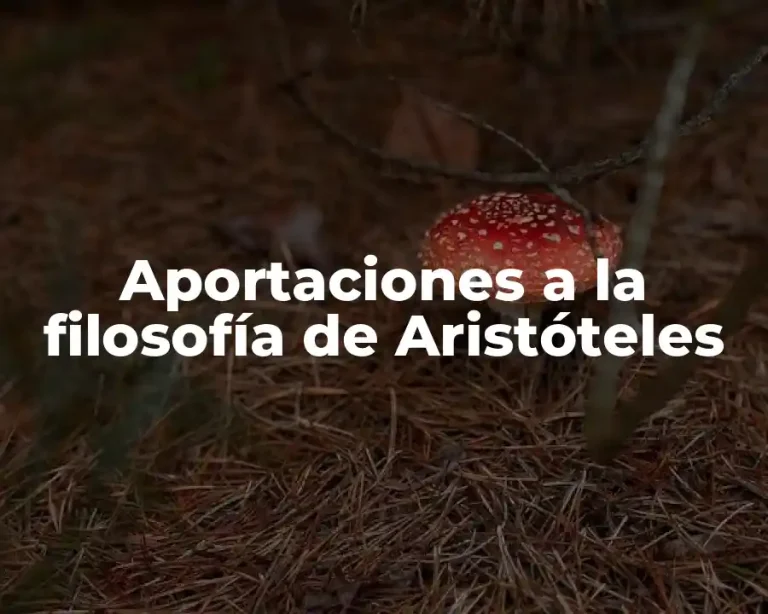 Aportaciones a la filosofía de Aristóteles