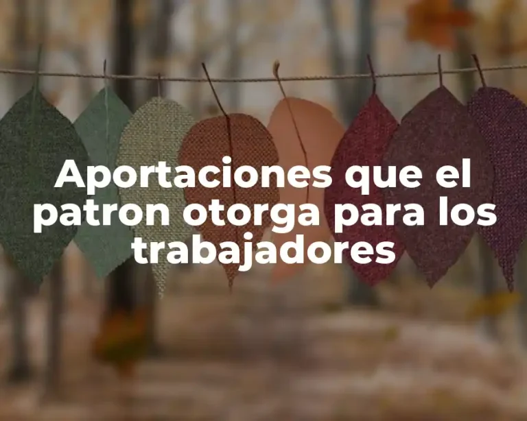 Aportaciones que el patron otorga para los trabajadores