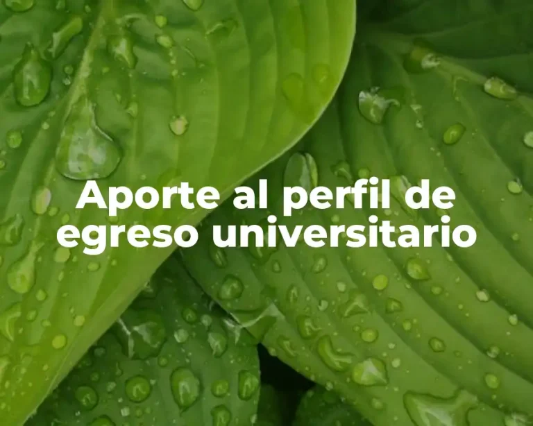 Aporte al perfil de egreso universitario