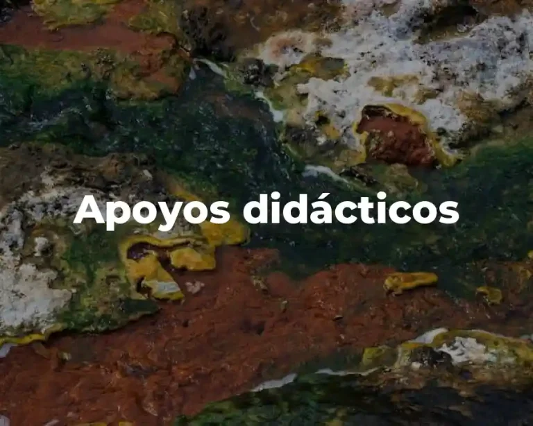 Apoyos didácticos