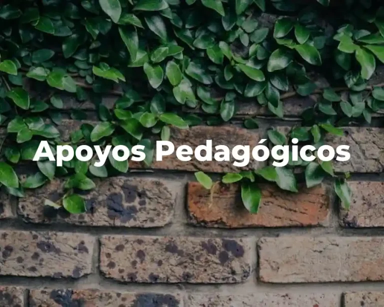 Apoyos Pedagógicos
