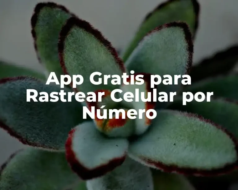 App Gratis para Rastrear Celular por Número