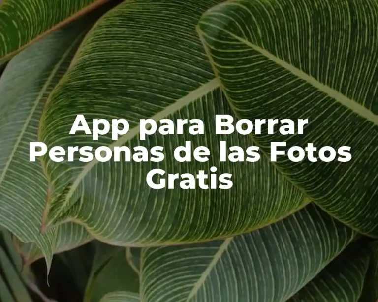 App para Borrar Personas de las Fotos Gratis