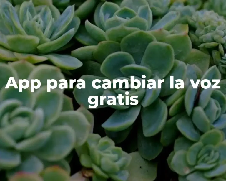 App para cambiar la voz gratis