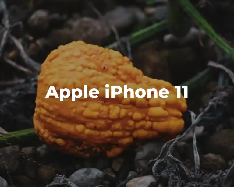Apple iPhone 11
