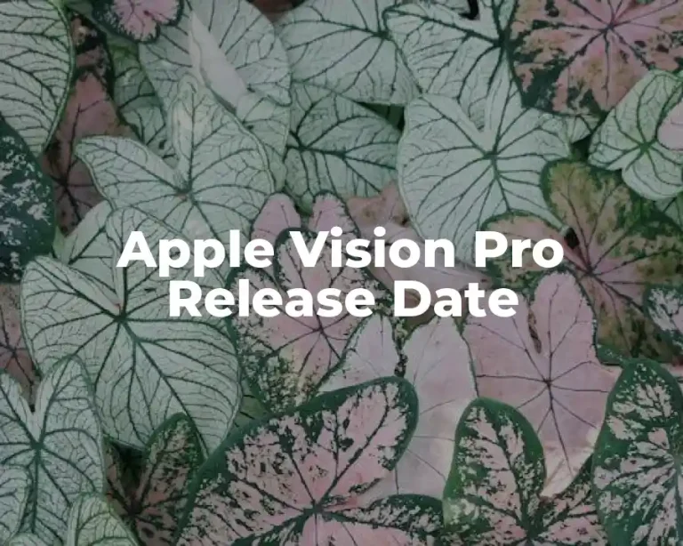 Apple Vision Pro Release Date