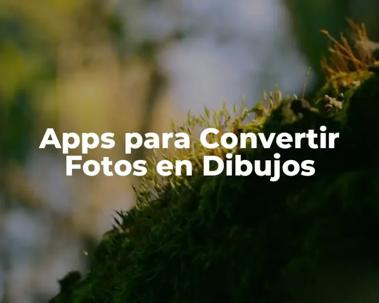 Apps para Convertir Fotos en Dibujos
