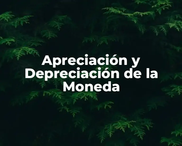 Apreciación y Depreciación de la Moneda