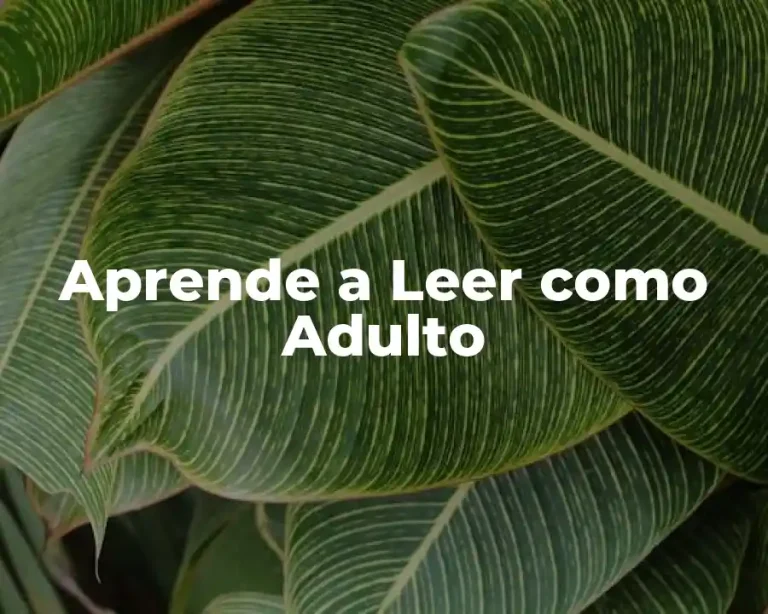 Aprende a Leer como Adulto