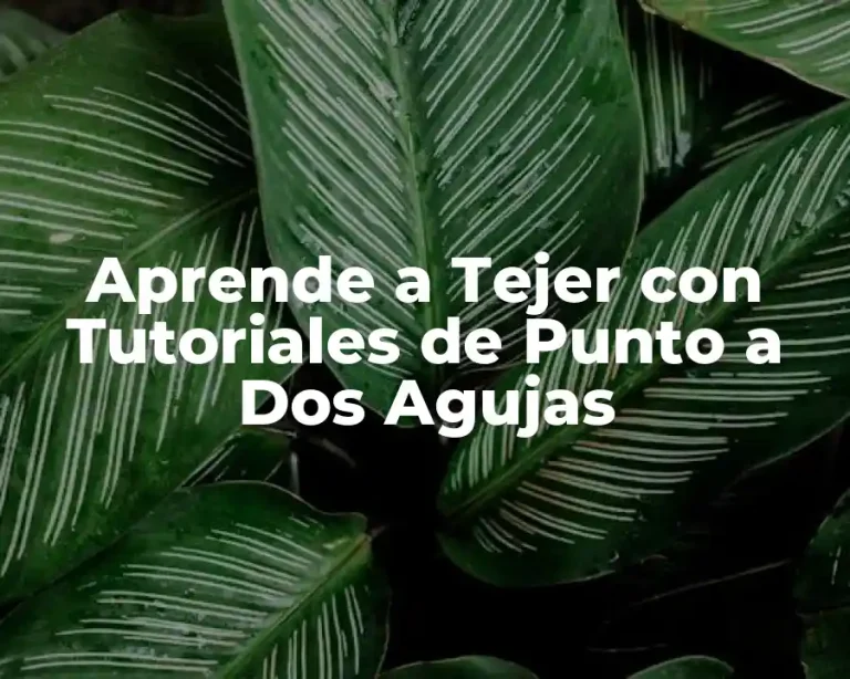 Aprende a Tejer con Tutoriales de Punto a Dos Agujas