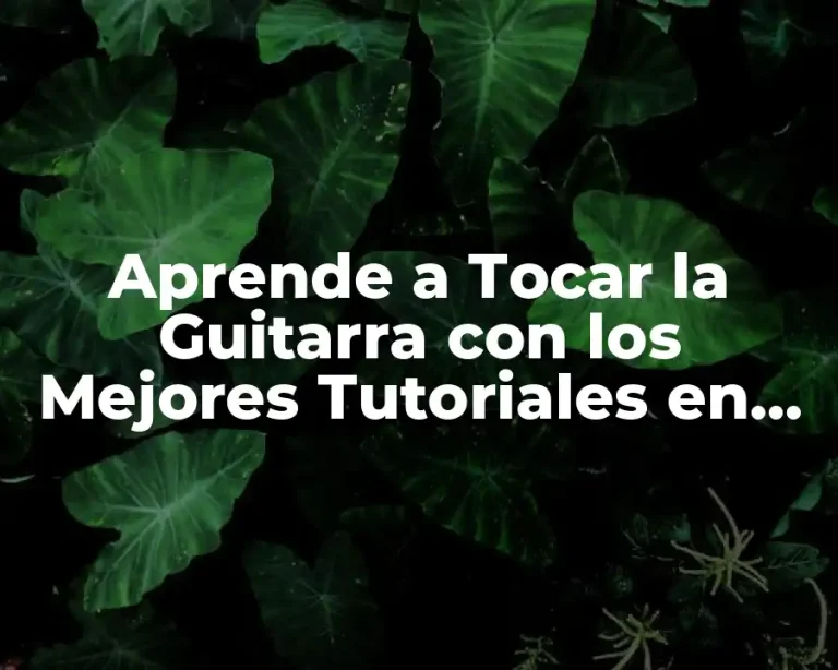 Aprende a Tocar la Guitarra con los Mejores Tutoriales en Línea