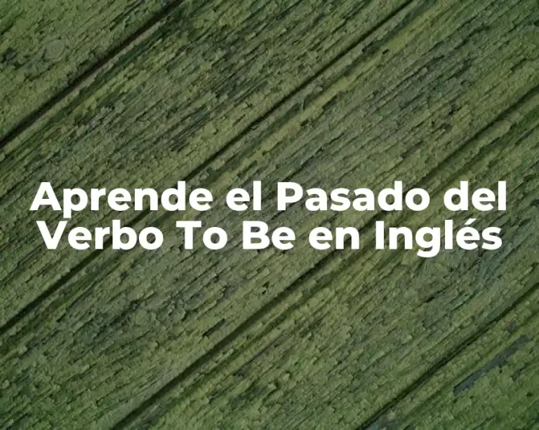 Aprende el Pasado del Verbo To Be en Inglés