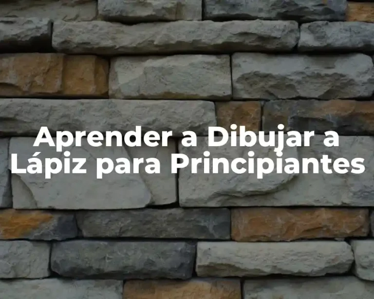 Aprender a Dibujar a Lápiz para Principiantes