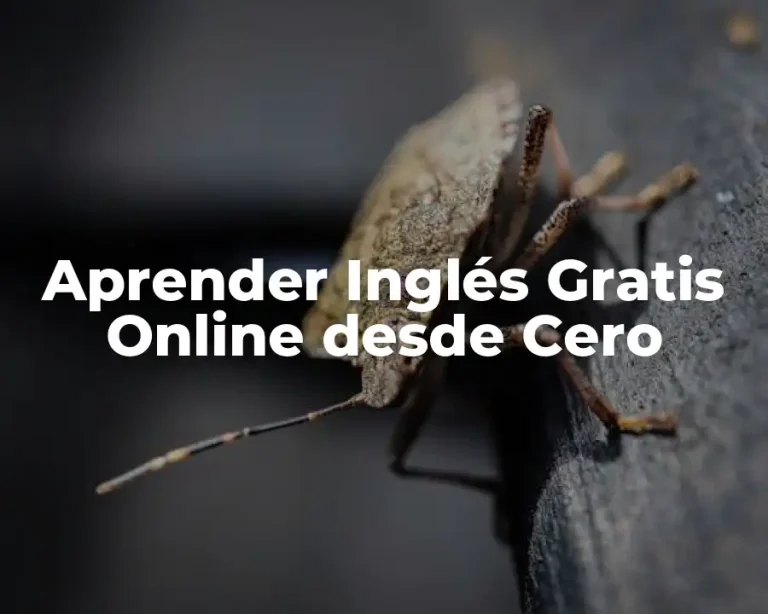 Aprender Inglés Gratis Online desde Cero