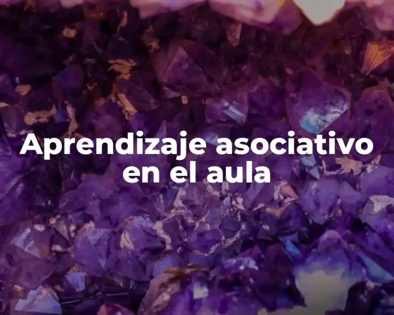 Aprendizaje asociativo en el aula