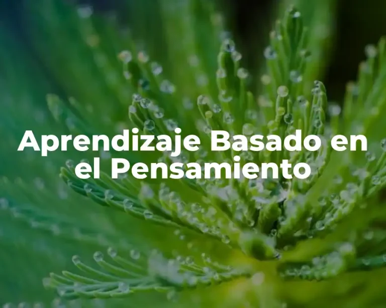 Aprendizaje Basado en el Pensamiento