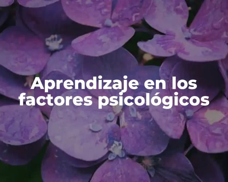 Aprendizaje en los factores psicológicos